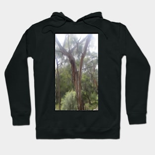 Allen St. Lorne Hoodie